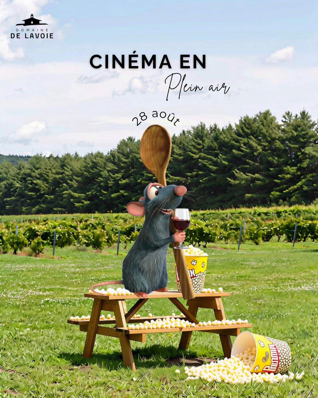 Soirée cinéma en plein air – 28 août (adulte)